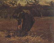 Peasant Woman Digging Up Potatoes (nn04) Vincent Van Gogh